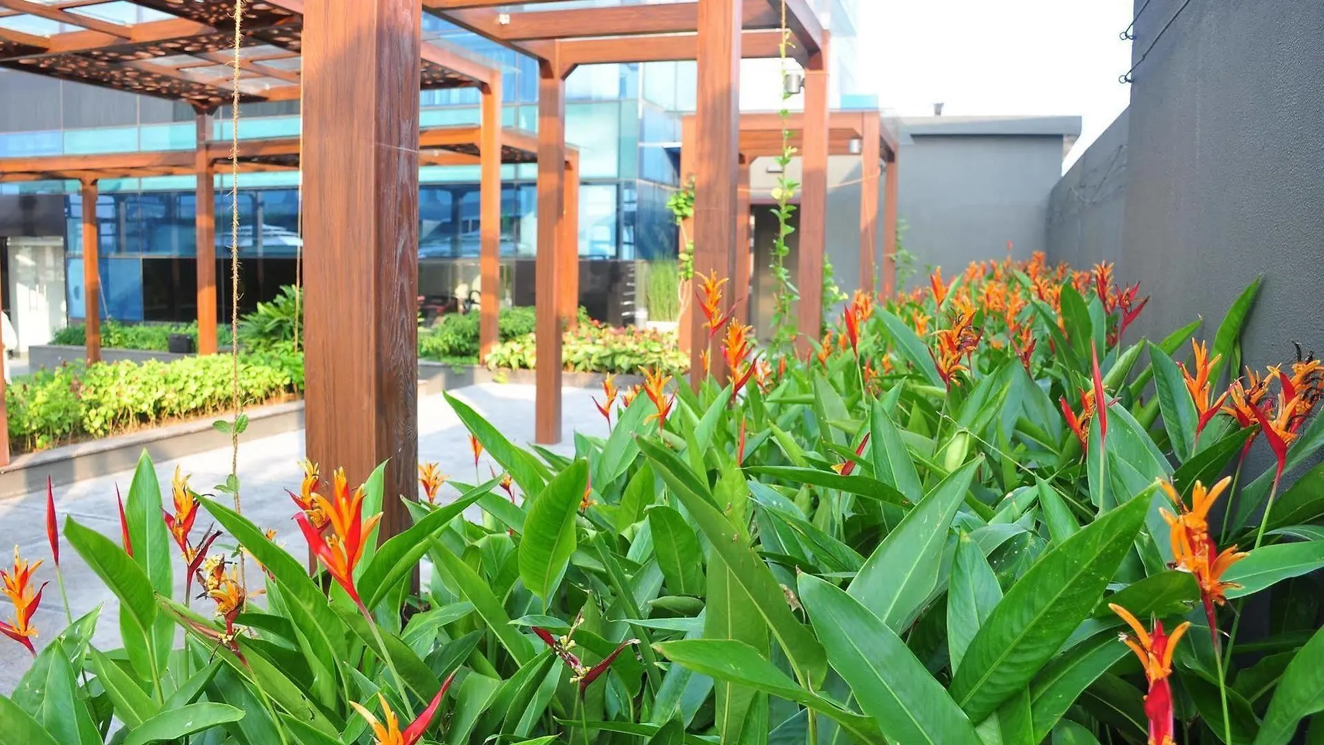 The Raviz Calicut Otel 5*, Kozhikode